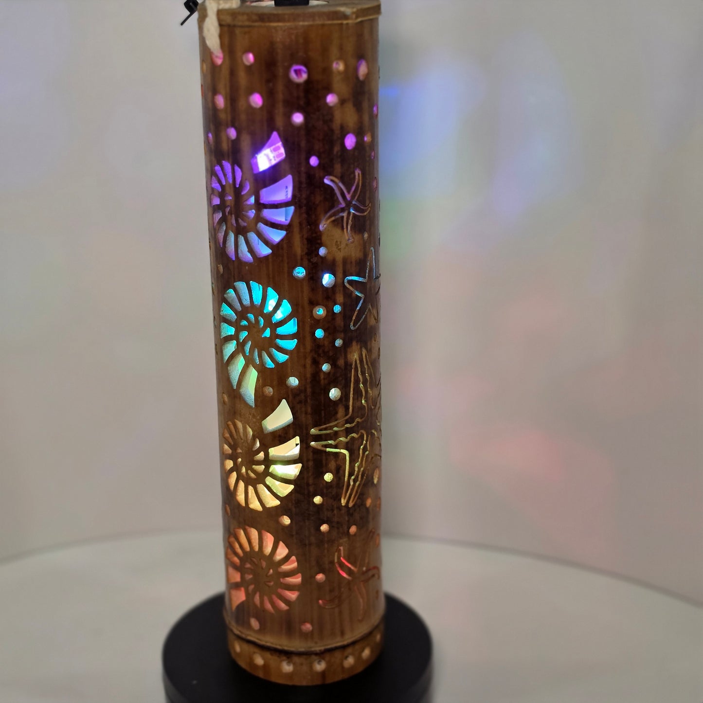 Bamboo Lantern - Starfish